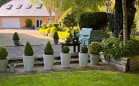 The Mews